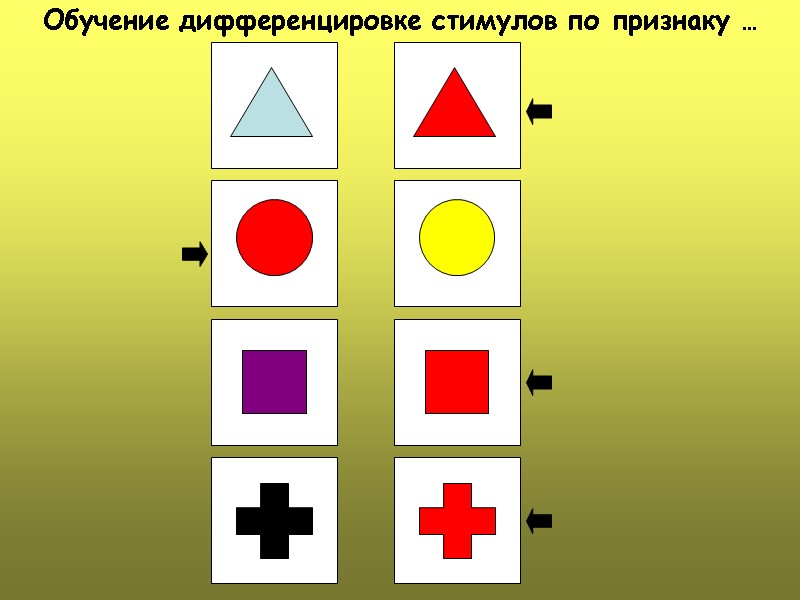 Обучение дифференцировке стимулов по признаку …